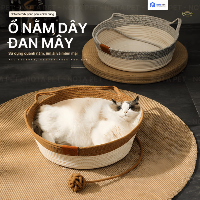 Một chiếc nhà vệ sinh cho mèo được đặt ở góc yên tĩnh, sạch sẽ trong nhà, nhấn mạnh vị trí lý tưởng